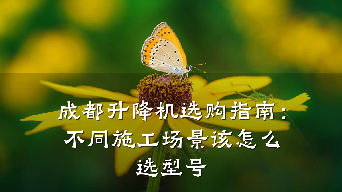 成都升降机选购指南:不同施工场景该怎么选型号