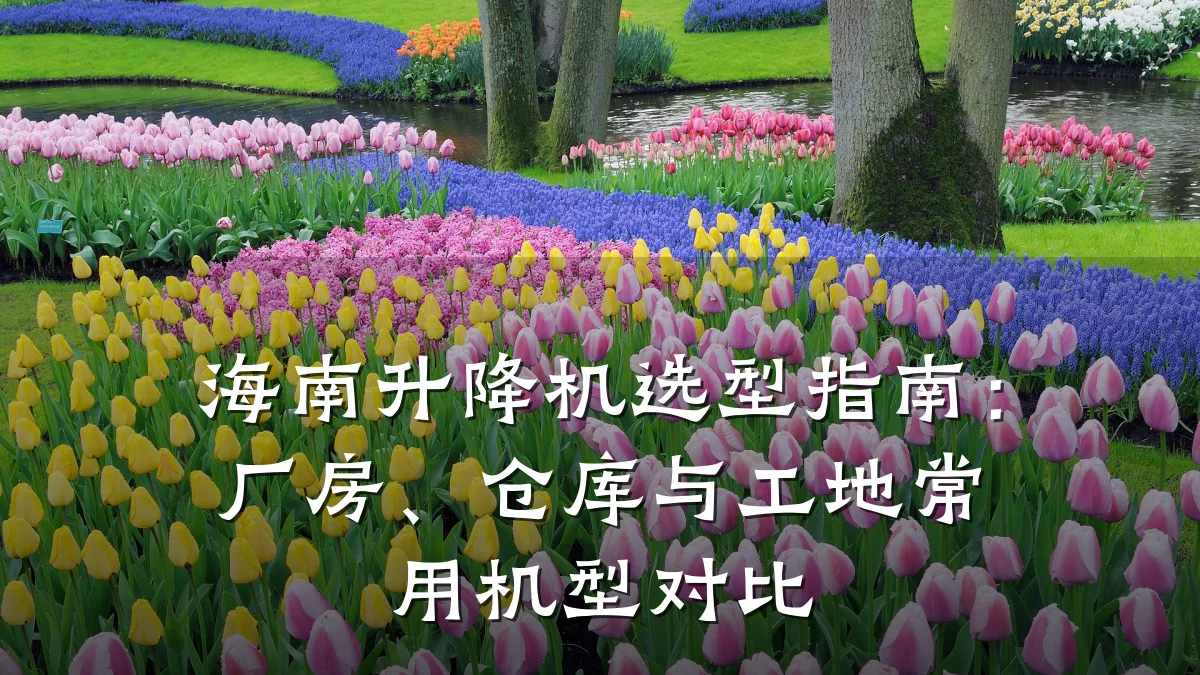 海南升降机选型指南:厂房、仓库与工地常用机型对比