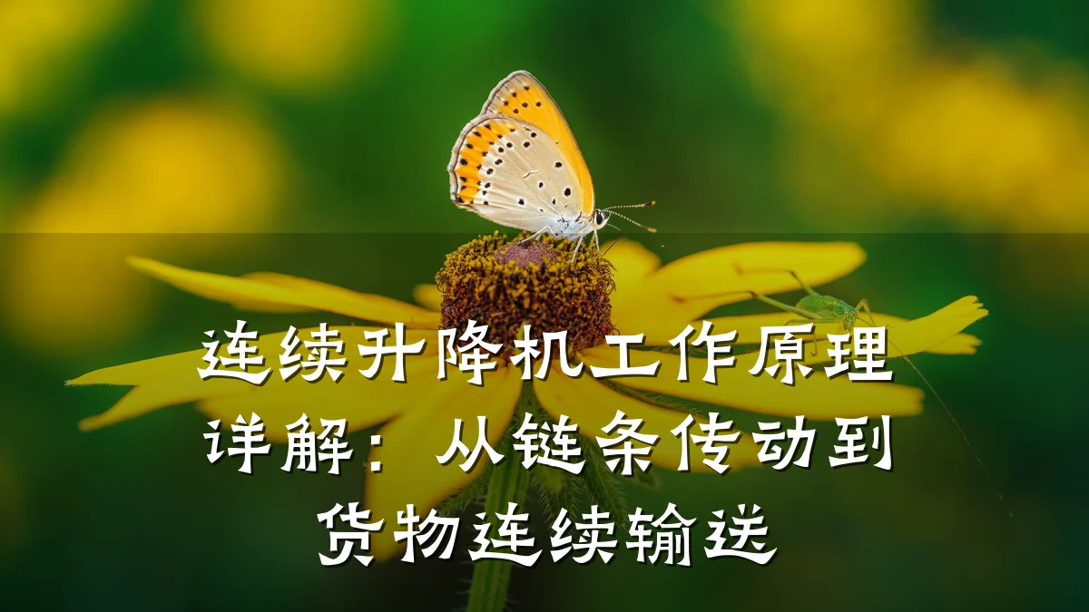 连续升降机工作原理详解:从链条传动到货物连续输送