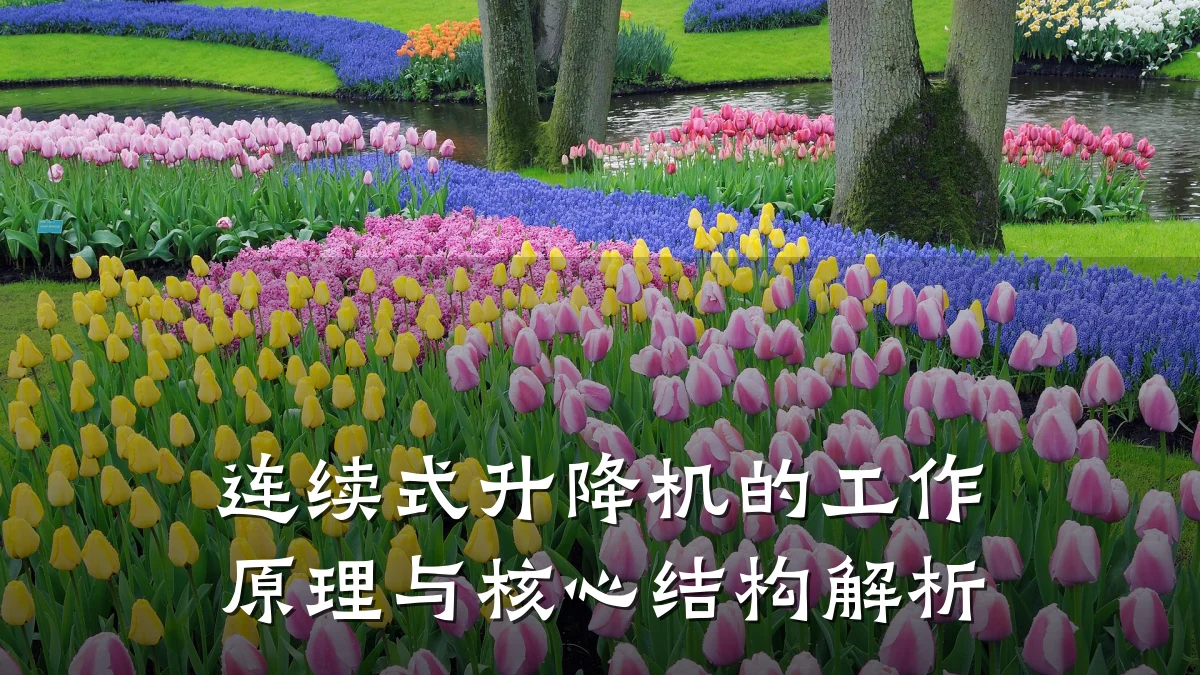 连续式升降机的工作原理与核心结构解析