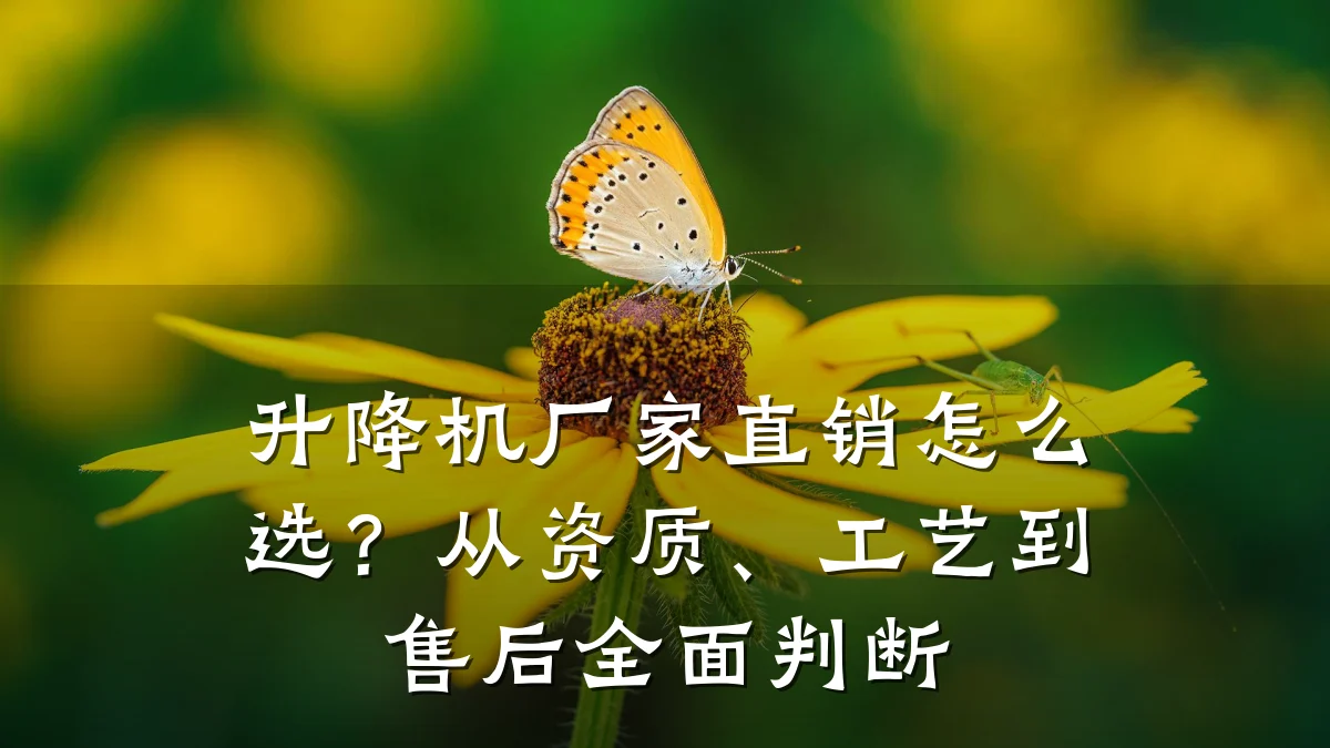 升降机厂家直销怎么选?从资质、工艺到售后全面判断