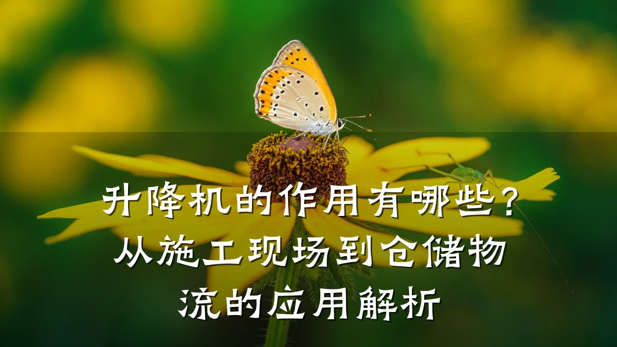 升降机的作用有哪些？从施工现场到仓储物流的应用解析