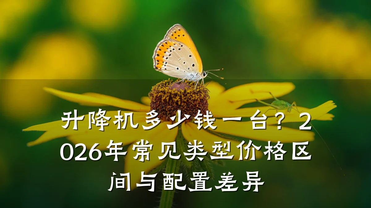 升降机多少钱一台?2026年常见类型价格区间与配置差异