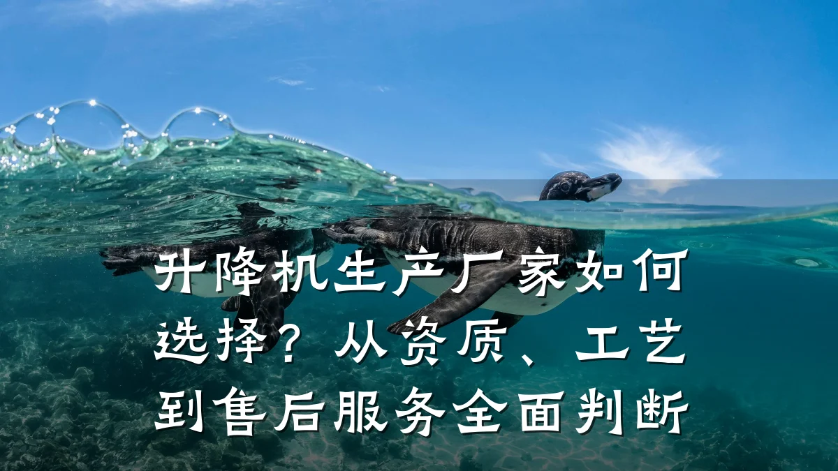 升降机生产厂家如何选择？从资质、工艺到售后服务全面判断