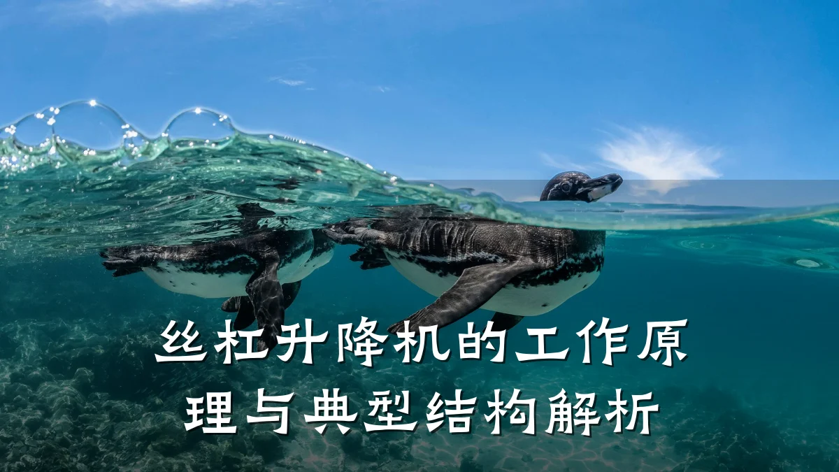 丝杠升降机的工作原理与典型结构解析