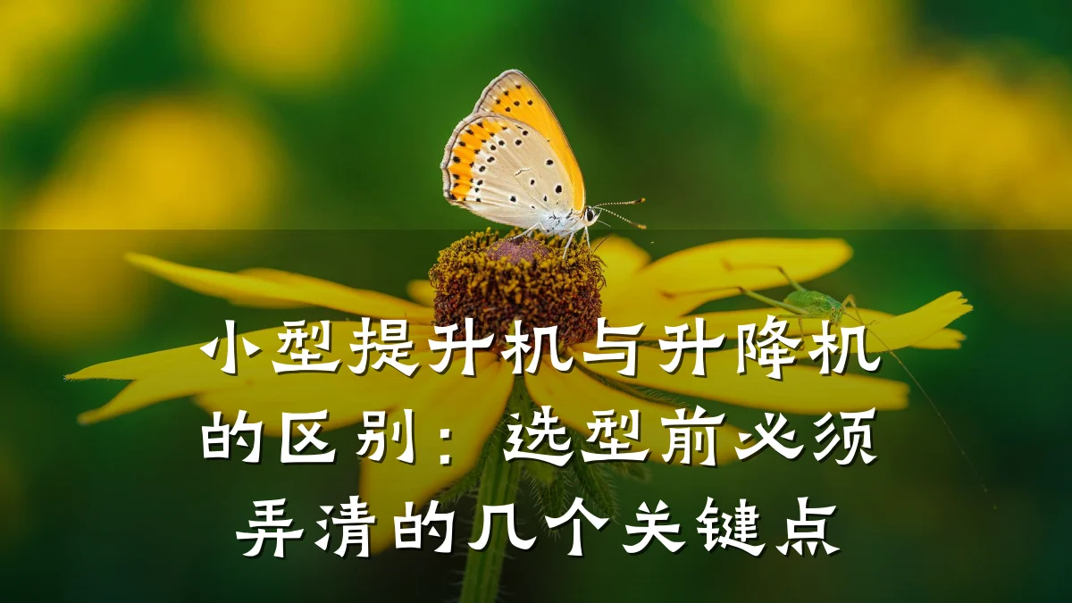 小型提升机与升降机的区别:选型前必须弄清的几个关键点