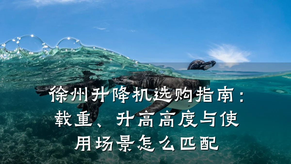 徐州升降机选购指南:载重、升高高度与使用场景怎么匹配