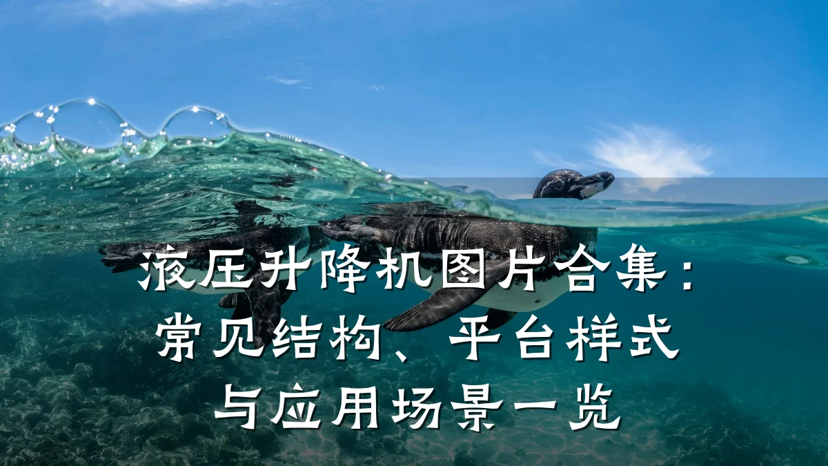 液压升降机图片合集：常见结构、平台样式与应用场景一览