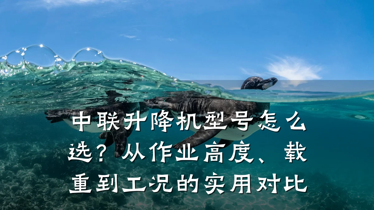 中联升降机型号怎么选?从作业高度、载重到工况的实用对比