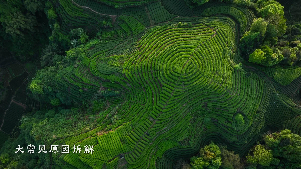 大常见原因拆解