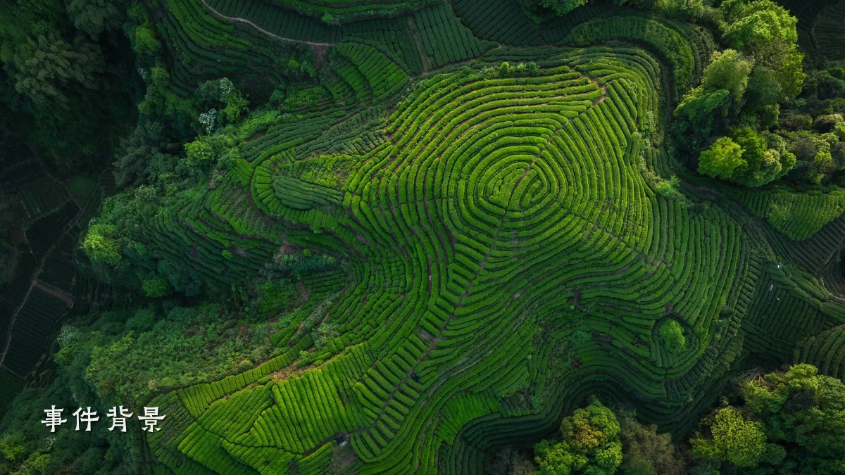 事件背景