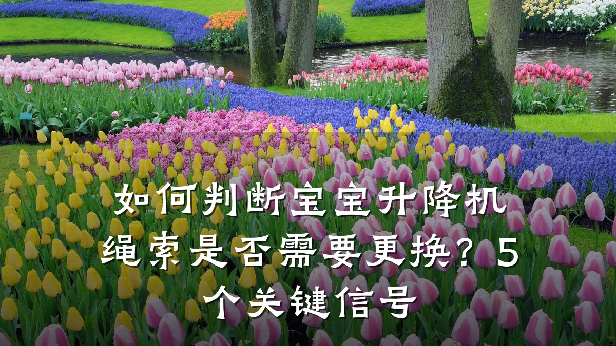 如何判断宝宝升降机绳索是否需要更换？5个关键信号