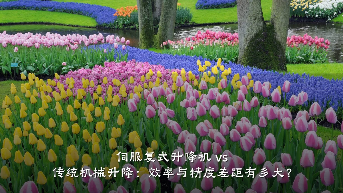 伺服复式升降机 vs 传统机械升降：效率与精度差距有多大？