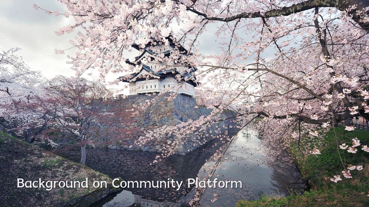 Background on Community Platform