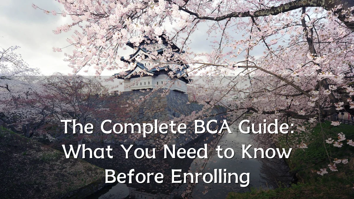 The Complete BCA Guide: What You Need to Know Before Enrolling