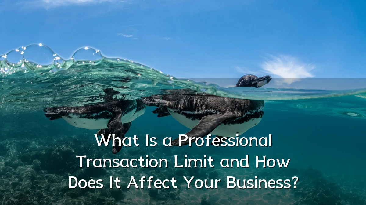 What Is a Professional Transaction Limit and How Does It Affect Your Business?