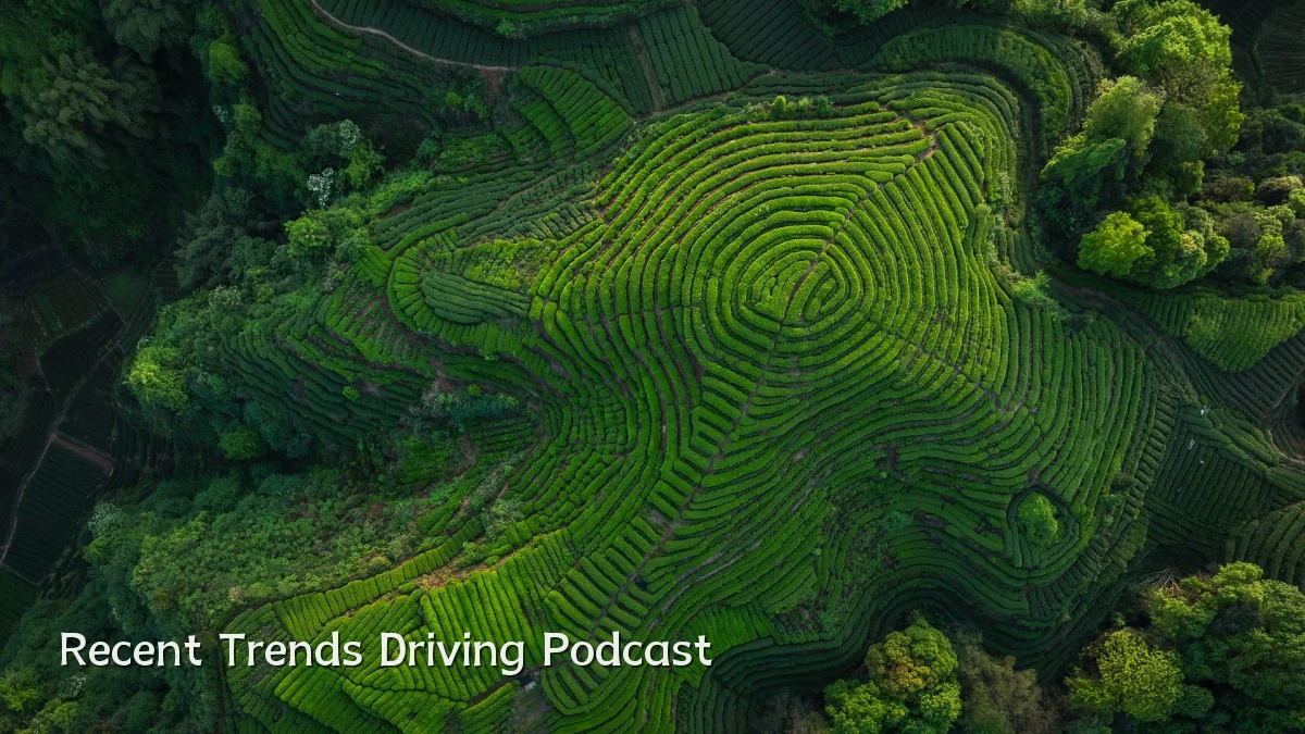 Recent Trends Driving Podcast