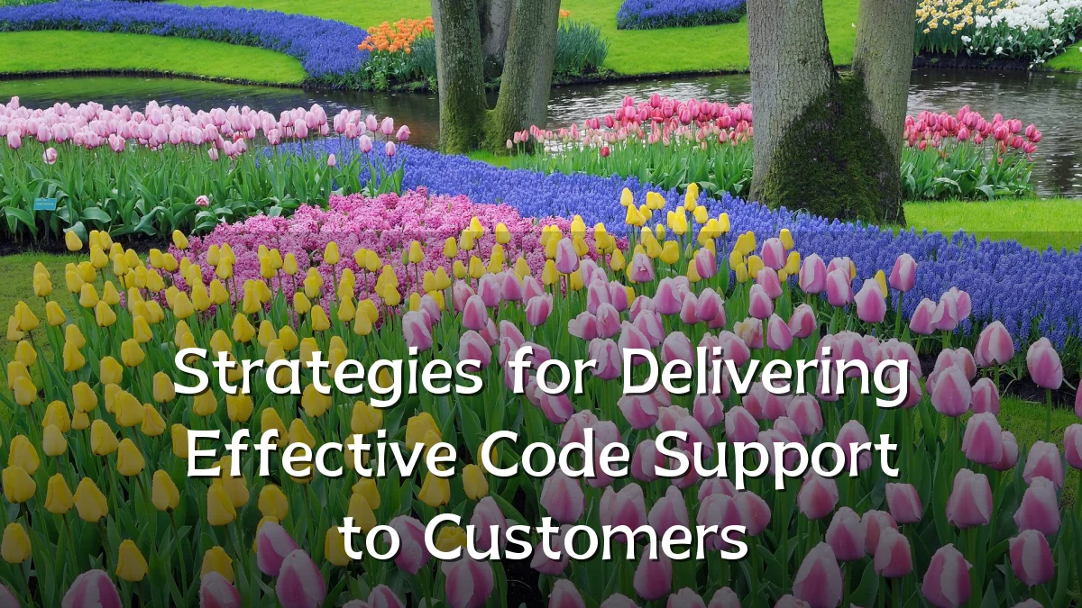 Strategies for Delivering Effective Code Support to Customers