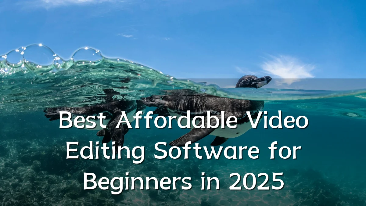 Best Affordable Video Editing Software for Beginners in 2025
