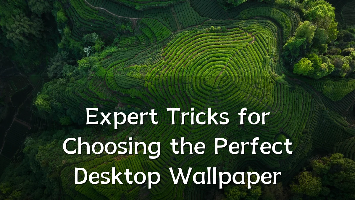 Expert Tricks for Choosing the Perfect Desktop Wallpaper