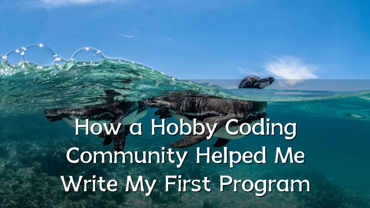 How a Hobby Coding Community Helped Me Write My First Program