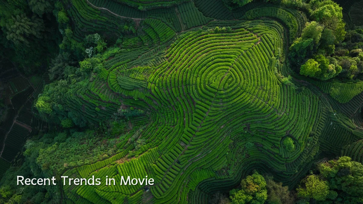 Recent Trends in Movie
