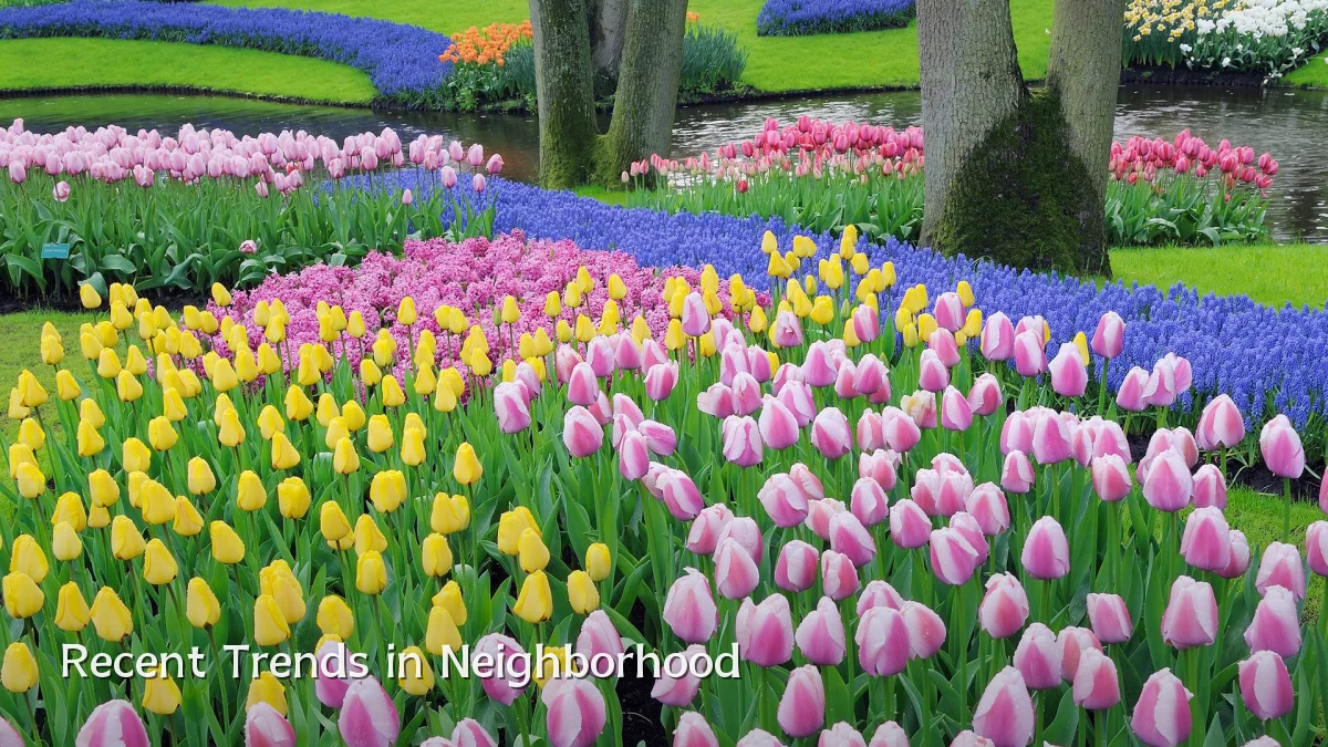 Recent Trends in Neighborhood