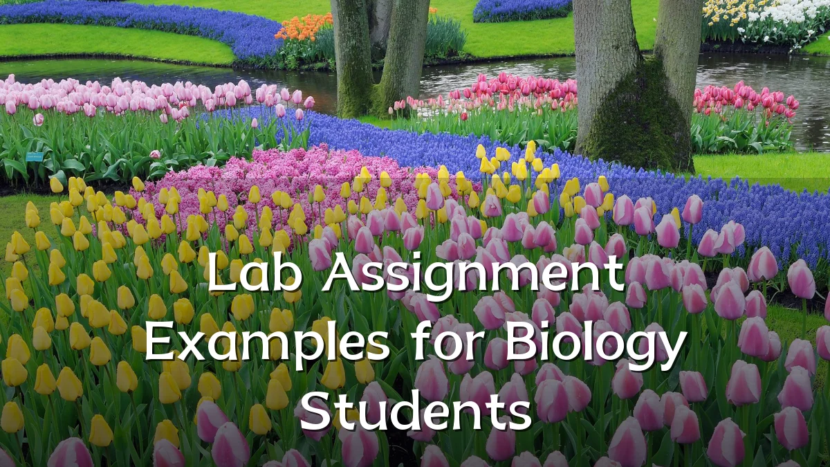 Lab Assignment Examples for Biology Students