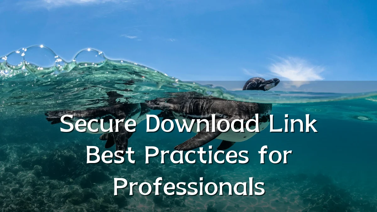 Secure Download Link Best Practices for Professionals