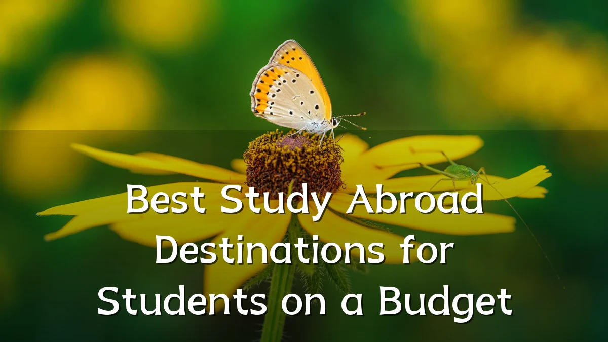 Best Study Abroad Destinations for Students on a Budget
