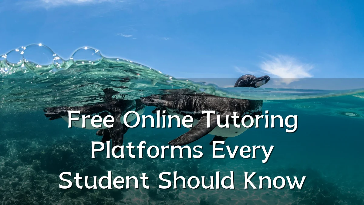 Free Online Tutoring Platforms Every Student Should Know