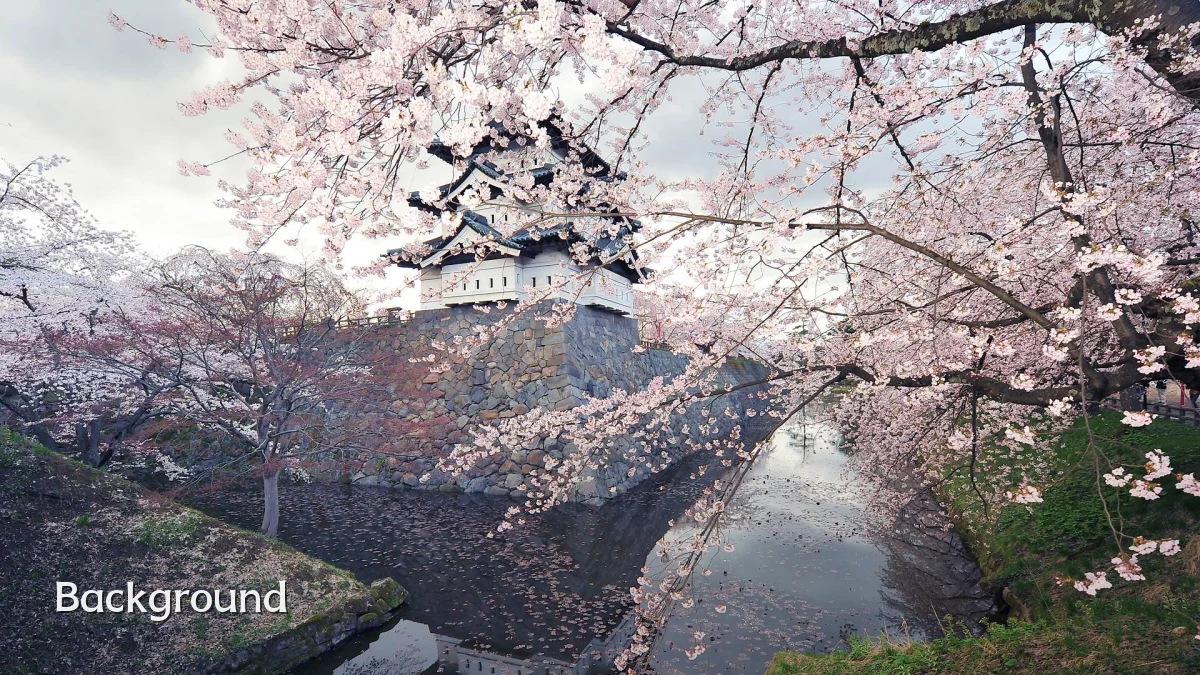 Background