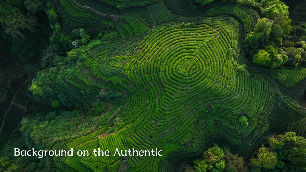 Background on the Authentic