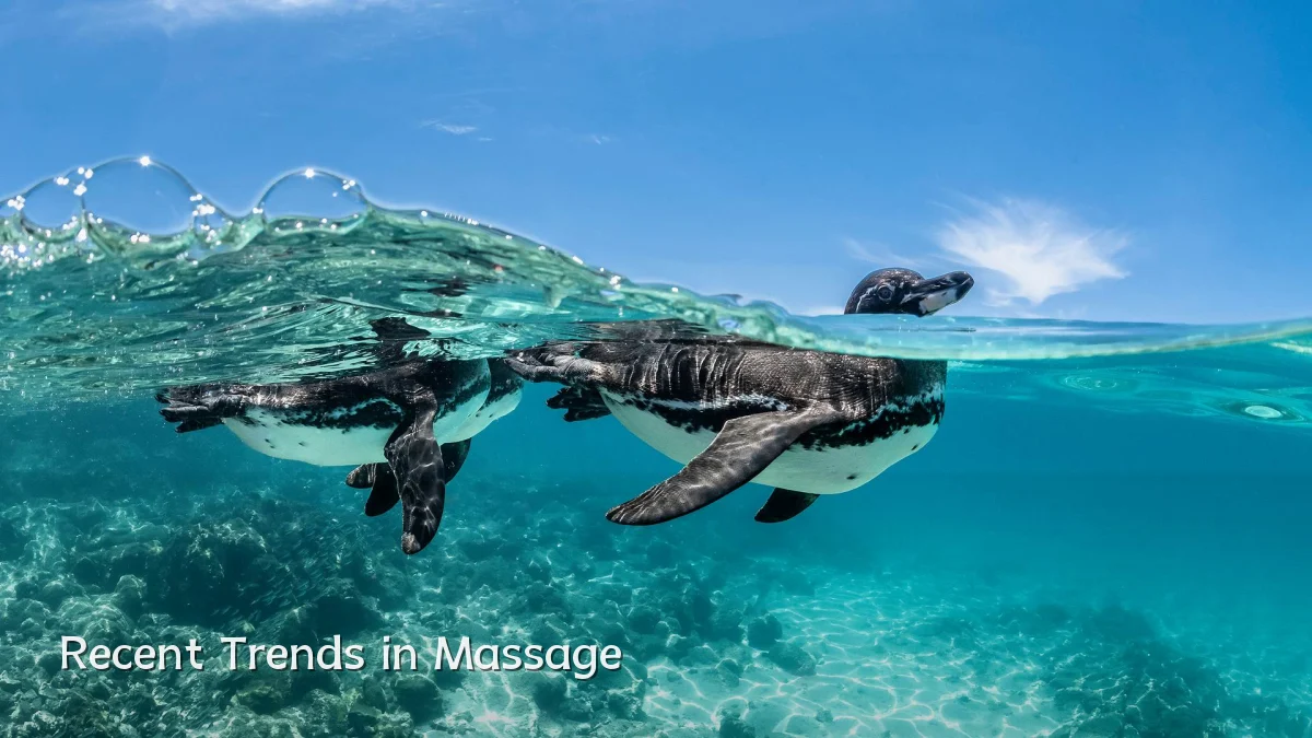 Recent Trends in Massage