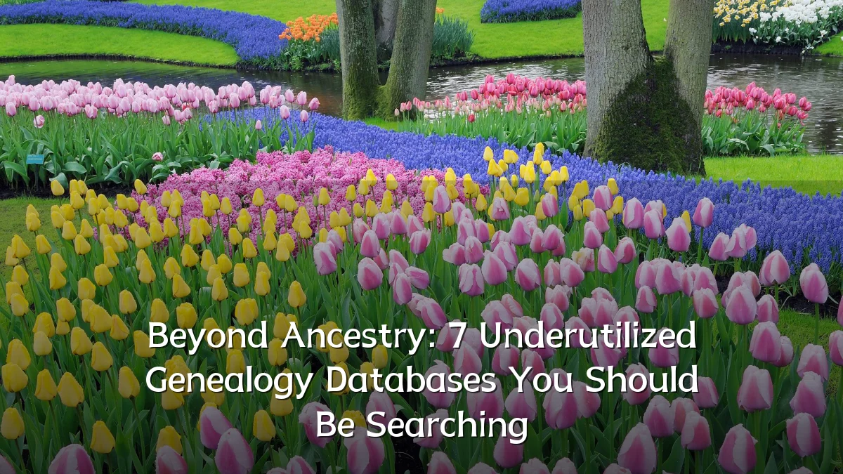 Beyond Ancestry: 7 Underutilized Genealogy Databases You Should Be Searching